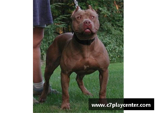 C7娱乐能轻松战胜比特犬的狗，却被外国人当宠物，网友看得瑟瑟 - 副本
