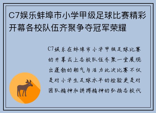 C7娱乐蚌埠市小学甲级足球比赛精彩开幕各校队伍齐聚争夺冠军荣耀